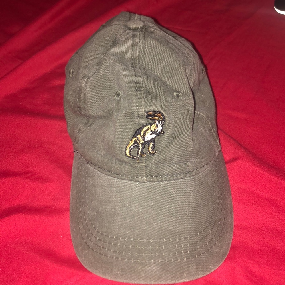 Dinosaur fitted cap
